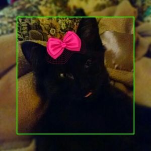 Meet your Posher, Marian